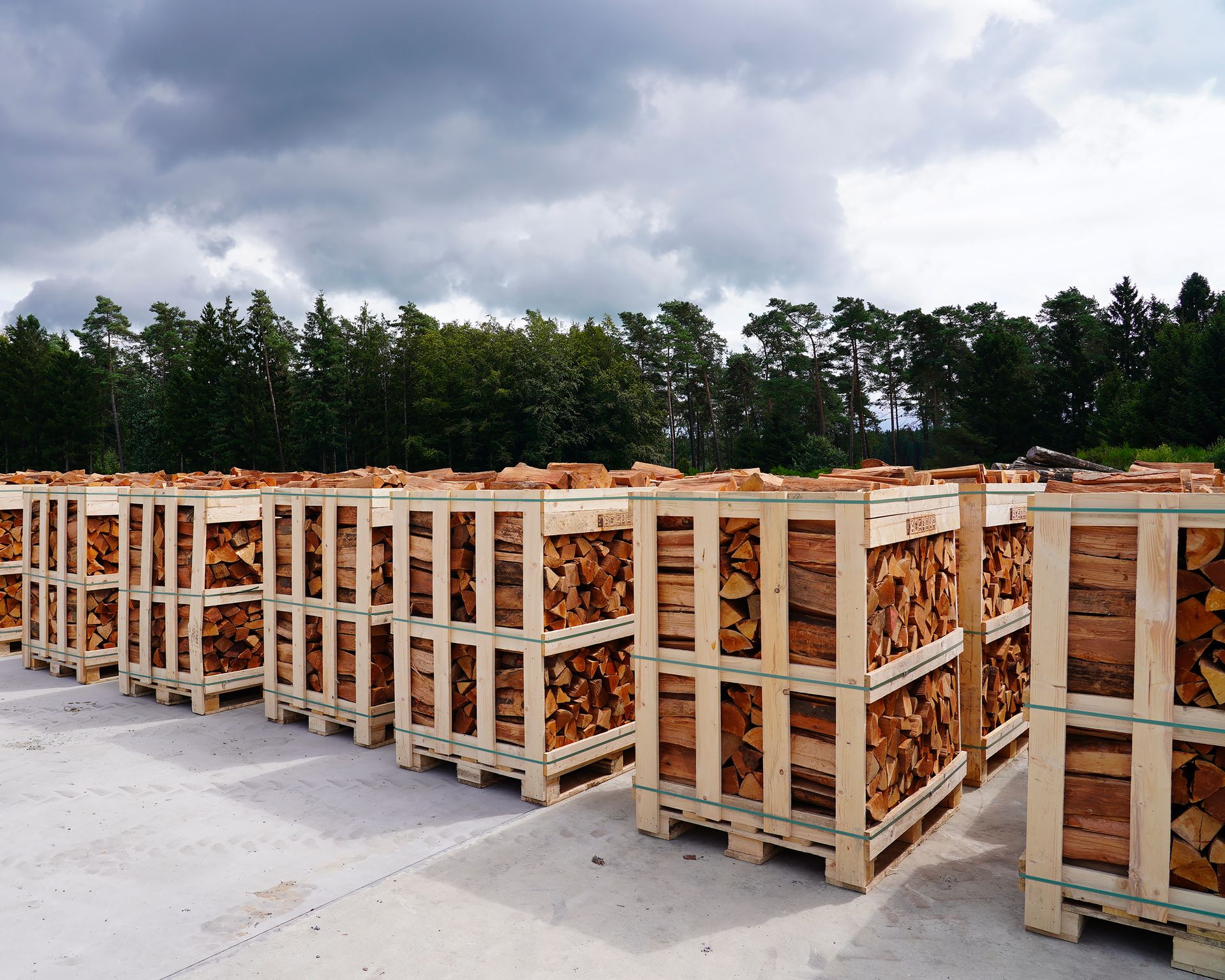 Palette de bois de chauffage sec rangée Palette de bois de chauffage sec rangée